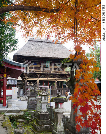 秋の青井阿蘇神社 秋の青井阿蘇神社 36506793