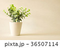 tree in green vintage style background 36507114