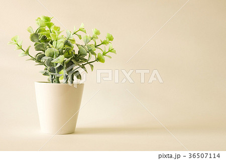 tree in green vintage style background 36507114