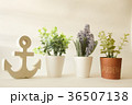 vintage wooden anchor with decorative small tree 36507138