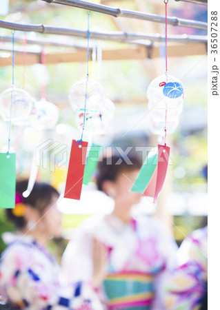 京都府綴喜郡宇治田原町の正寿院の風鈴祭りを撮影したもの 36507288