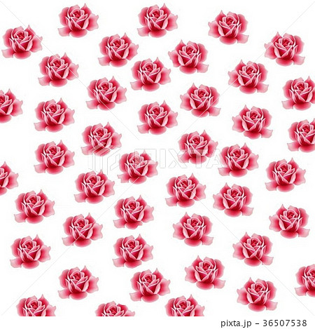 テクスチャ 薔薇の花 パターンのイラスト素材