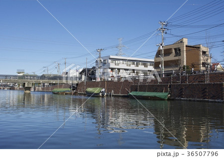 浦安市 12月 浦安市 12月 36507796