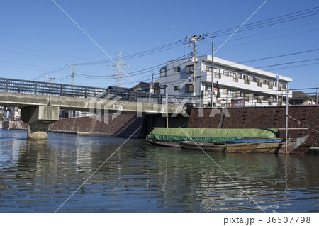 浦安市 12月 浦安市 12月 36507798