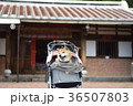 バギーに乗る柴犬。 36507803