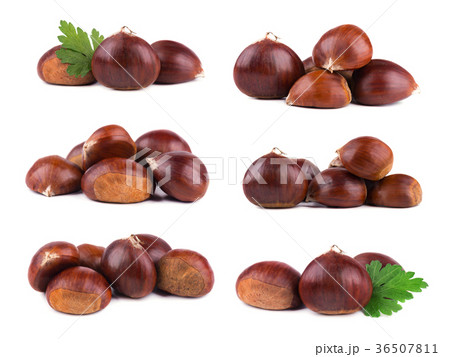 Fresh chestnuts isolated on white background 36507811