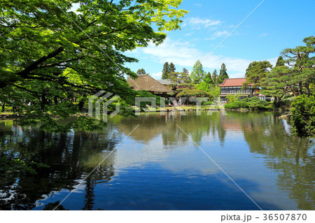 新緑の御薬園庭園 新緑の御薬園庭園 36507870