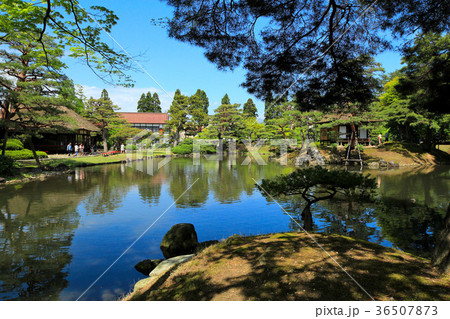新緑の御薬園庭園 新緑の御薬園庭園 36507873