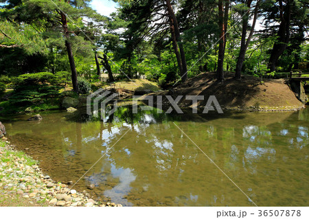 新緑の御薬園庭園 36507878