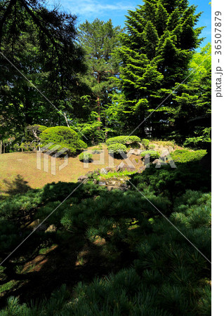 新緑の御薬園庭園 36507879