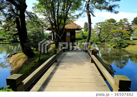 新緑の御薬園庭園 36507882