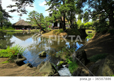 新緑の御薬園庭園 新緑の御薬園庭園 36507886