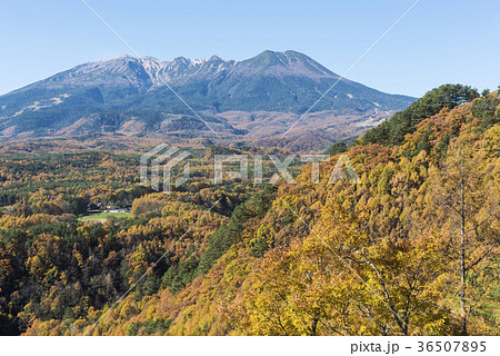 錦秋の九蔵峠と御嶽山 錦秋の九蔵峠と御嶽山 36507895
