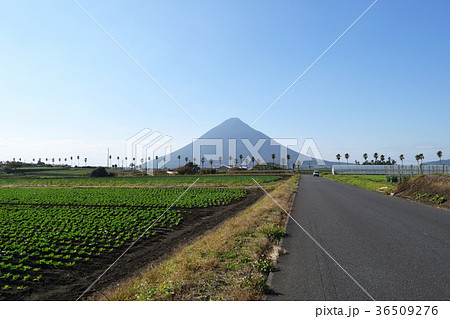 山川浜児ケ水付近から見る開聞岳 36509276