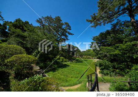 小田原城 小田原城 36509400