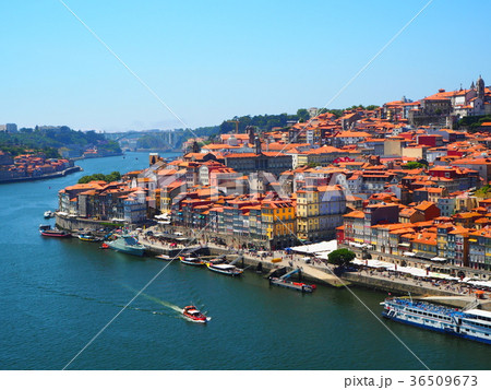 ポルトガル、ポルト 36509673