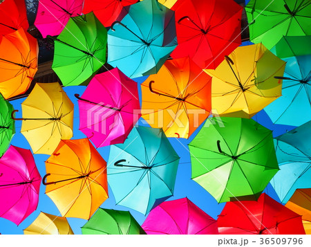 ポルトガル、アゲダ ポルトガル、アゲダ 36509796