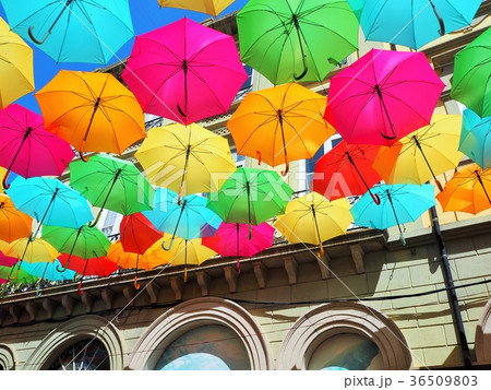 ポルトガル、アゲダ 36509803