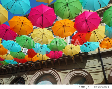 ポルトガル、アゲダ ポルトガル、アゲダ 36509804