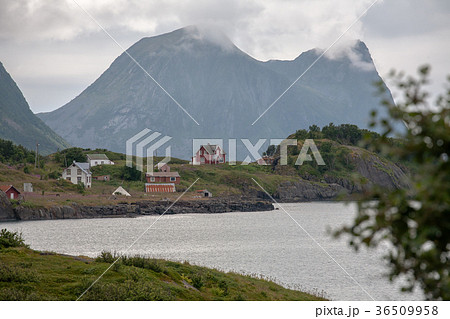 Norwegian view 36509958