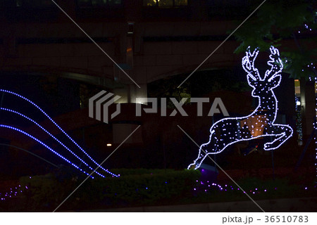 ナイトシーン 夕映 夜景 36510783