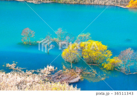 晩秋の秋扇湖 秋田県 晩秋の秋扇湖 秋田県 36511343