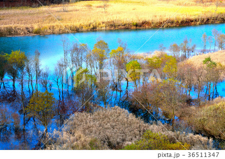 晩秋の秋扇湖 秋田県 晩秋の秋扇湖 秋田県 36511347