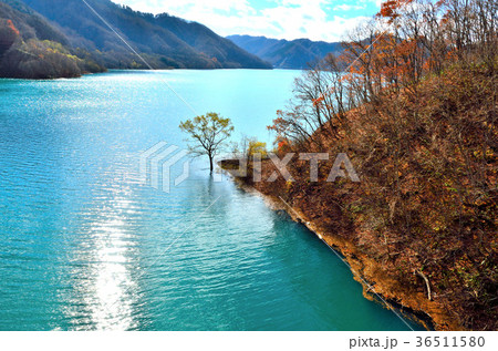 晩秋の宝仙湖 秋田県 晩秋の宝仙湖 秋田県 36511580