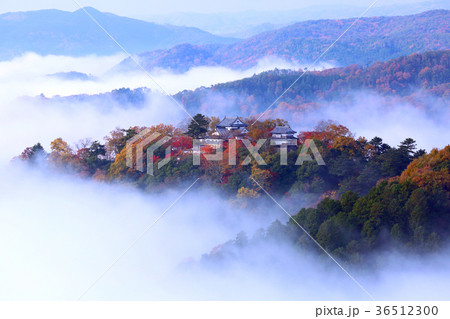 天空の山城 7274 天空の山城 7274 36512300