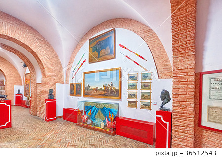 Interior bullfighting Museum . 36512543