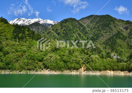 信州の風景 新緑の大町ダム 大町市 信州の風景 新緑の大町ダム 大町市 36513175