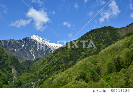 信州の風景　新緑の大町ダム　大町市 36513186