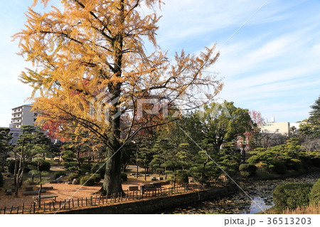 秋の道後公園 36513203