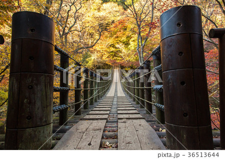 花貫渓谷の紅葉の写真素材