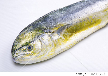シイラ 食材 シイラ 食材 36513793