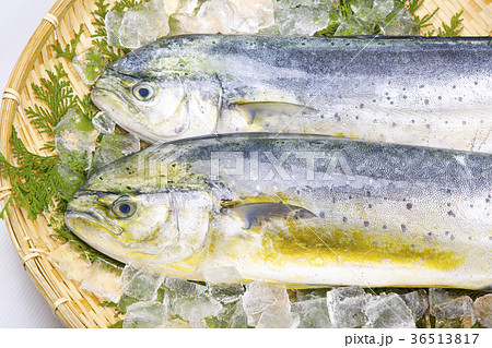 シイラ　食材 36513817