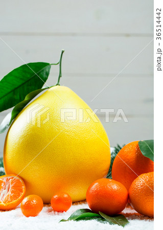 Fresh mandarins, oranges, pomelo, kumquat, 36514442