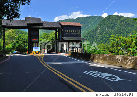 アジア人 アジアン アジア風 36514591