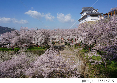 岡山県津山市の桜の名所「鶴山公園(津山城趾)」:備中櫓 岡山県津山市の桜の名所「鶴山公園(津山城趾)」:備中櫓 36514715