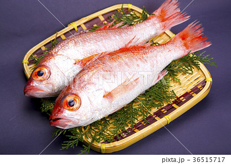 のどぐろ 食材 のどぐろ 食材 36515717