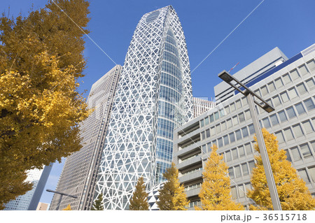 秋の新宿　コクーンタワー 36515718