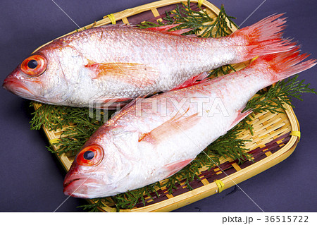 のどぐろ　食材 36515722