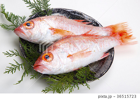 のどぐろ 食材 のどぐろ 食材 36515723