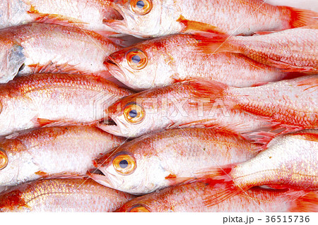 のどぐろ　食材 36515736