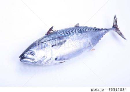 スマ　食材 36515884