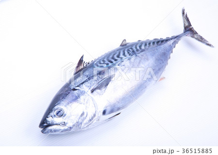 スマ 食材 スマ 食材 36515885