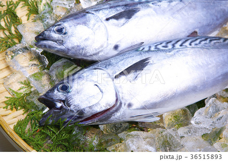 スマ　食材 36515893