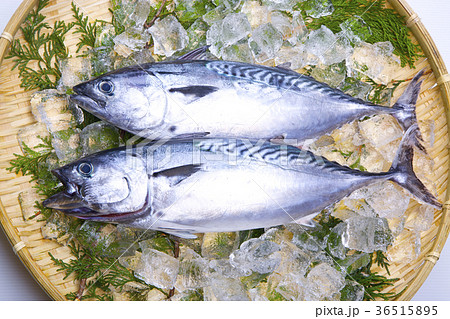 スマ　食材 36515895