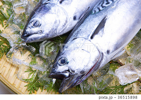 スマ　食材 36515898