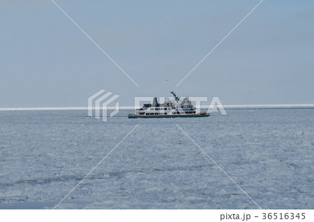 流氷船 36516345
